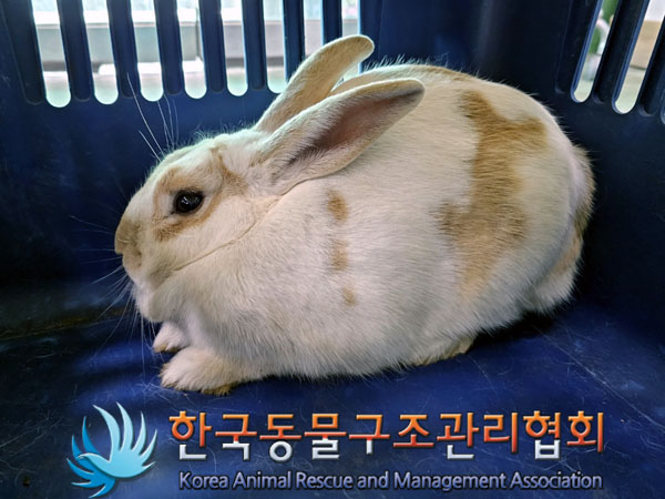 한국동물구조관리협회_441414202300199